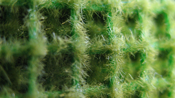 Bild: Die Kaktusartige Oberfläche des AKO-Schneckenzauns